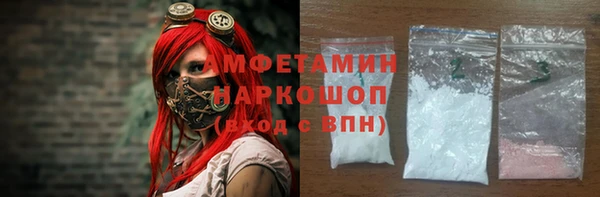 хмурый Алексин