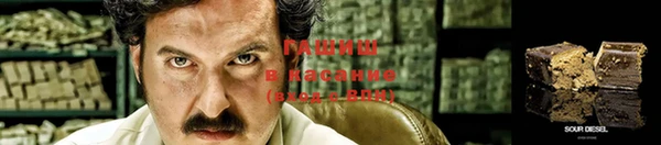 хмурый Алексин