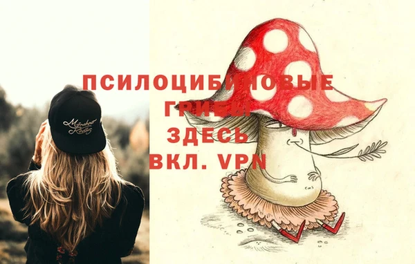 гидропоника Абаза