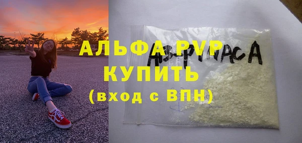 СК Абинск